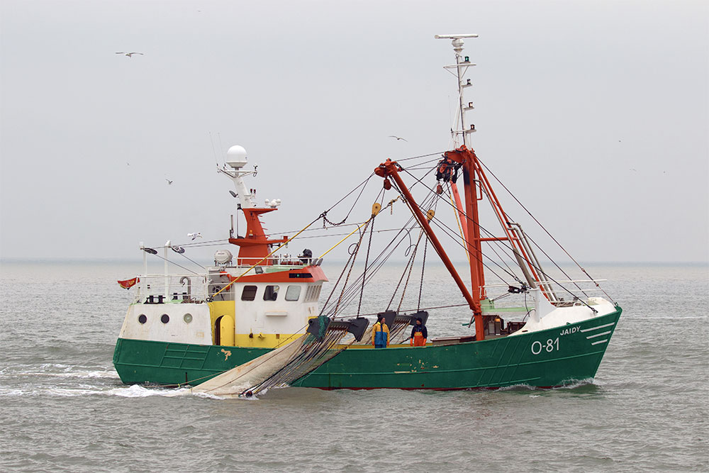 For sale Beamtrawler O-81 Jaidy