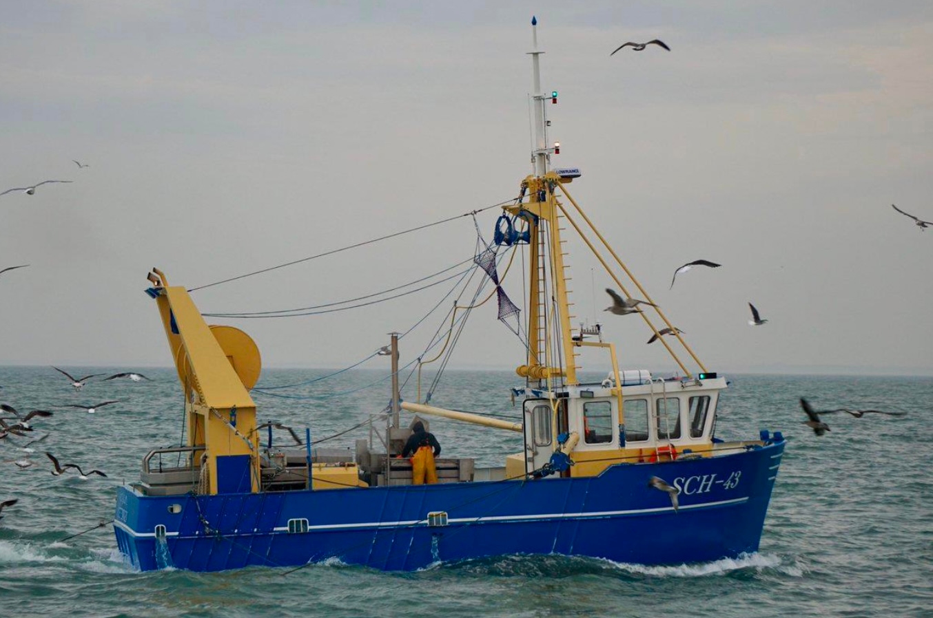 For sale, small Stern – Twinrig trawler IJM-18