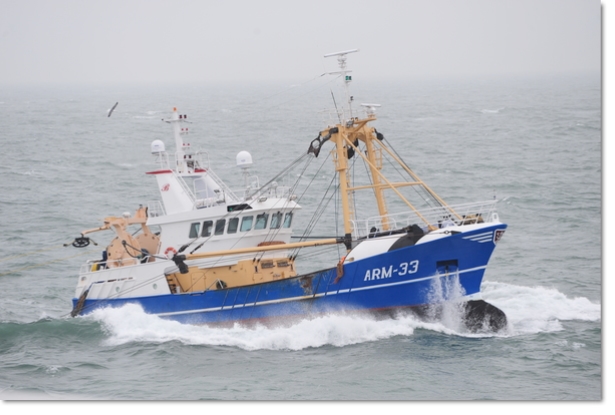 ARM-33 Tempus Fugit sold to Scheveningen