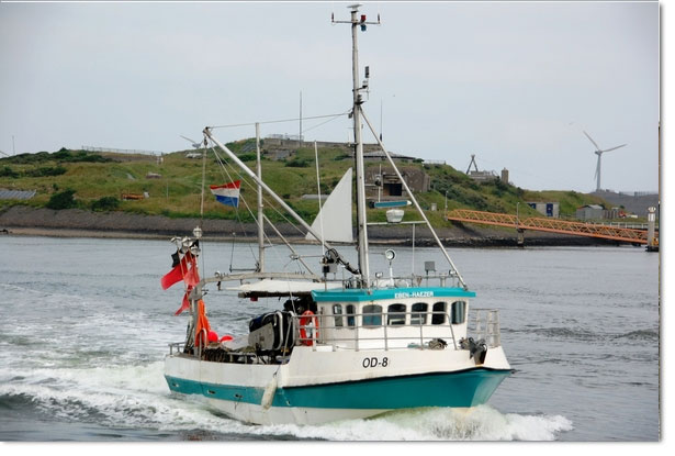 OD-8 Sold to IJmuiden for restart in gill-net fisheries