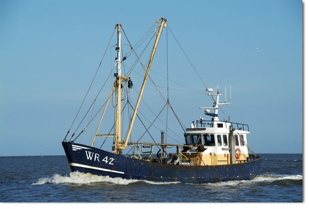 WR-42 Johanna Dieuwertje sale and transfer to skipper as new owner.