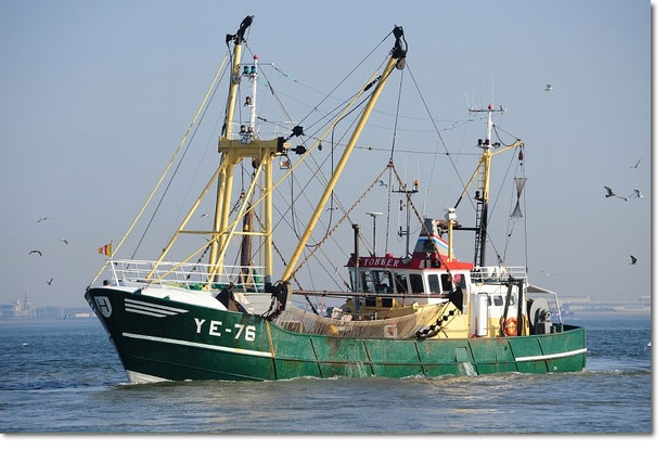 YE-76 Tobber inter company transactions fam. Hoebeke