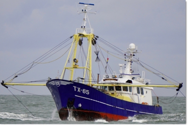 2025: Sold to Texel, TX-27