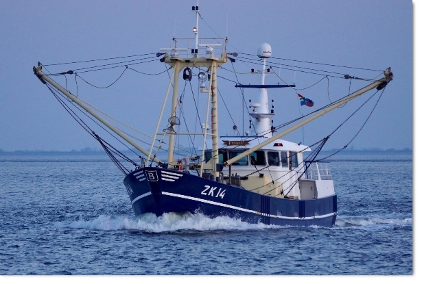 2025: ZK-14 sold to Zoutkamp ZK-16