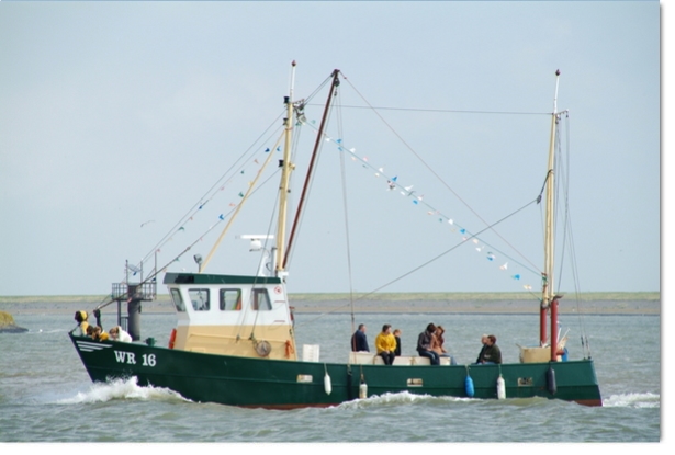 2026: Sold to new owners Den Oever, WR-16